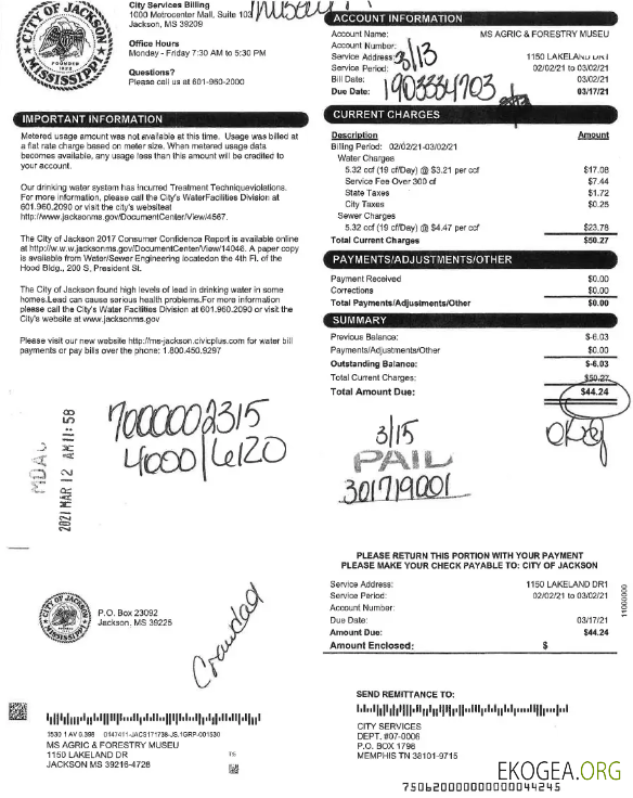 USA CITY OF JACKSON utility bill Word and PDF template